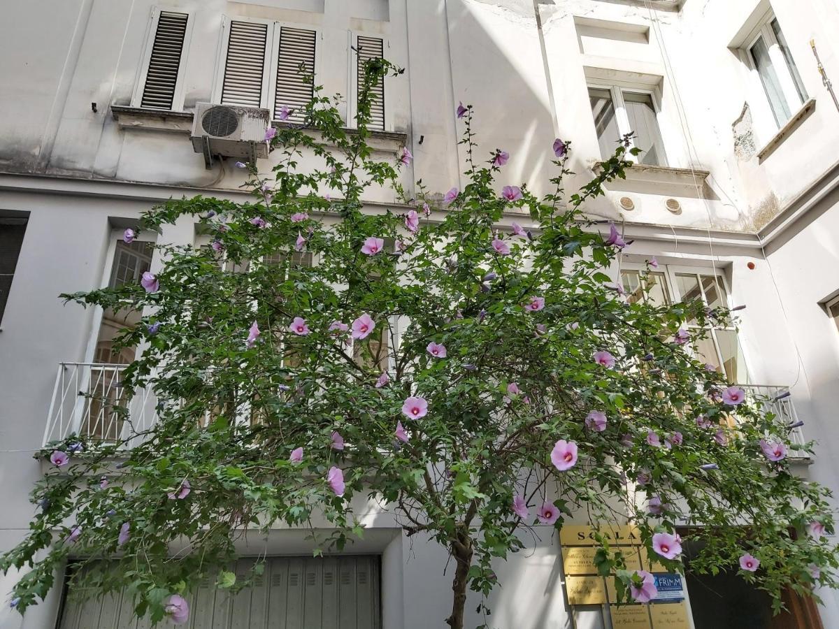 Vittoria Guest house